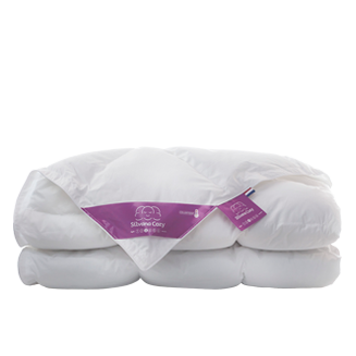 Cozy Paars