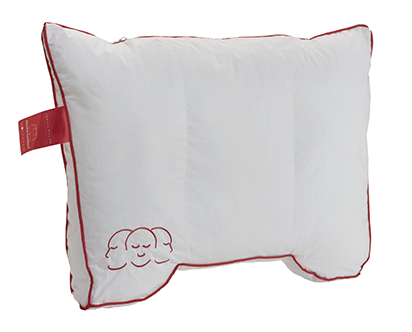 Comfort Travel Rood