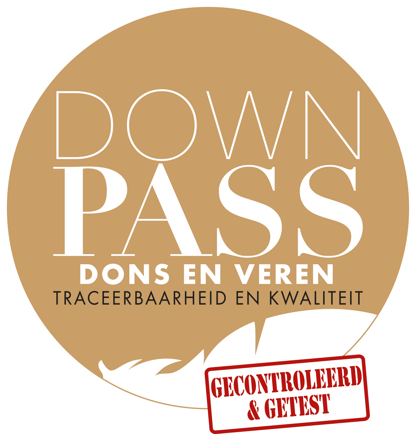 Logo Downpass